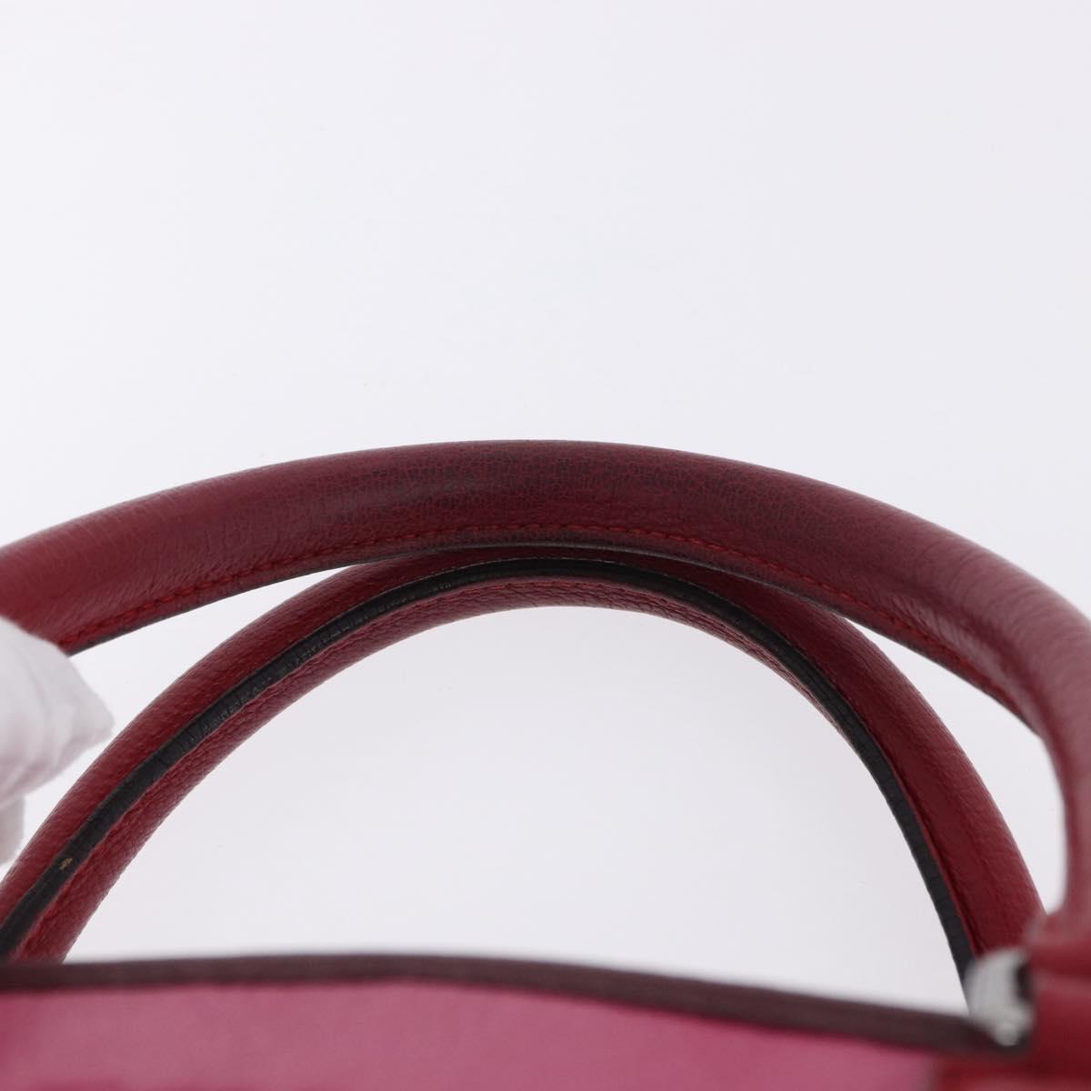 LOEWE Amazona 35 Hand Bag Leather Pink Silver Auth 193499V