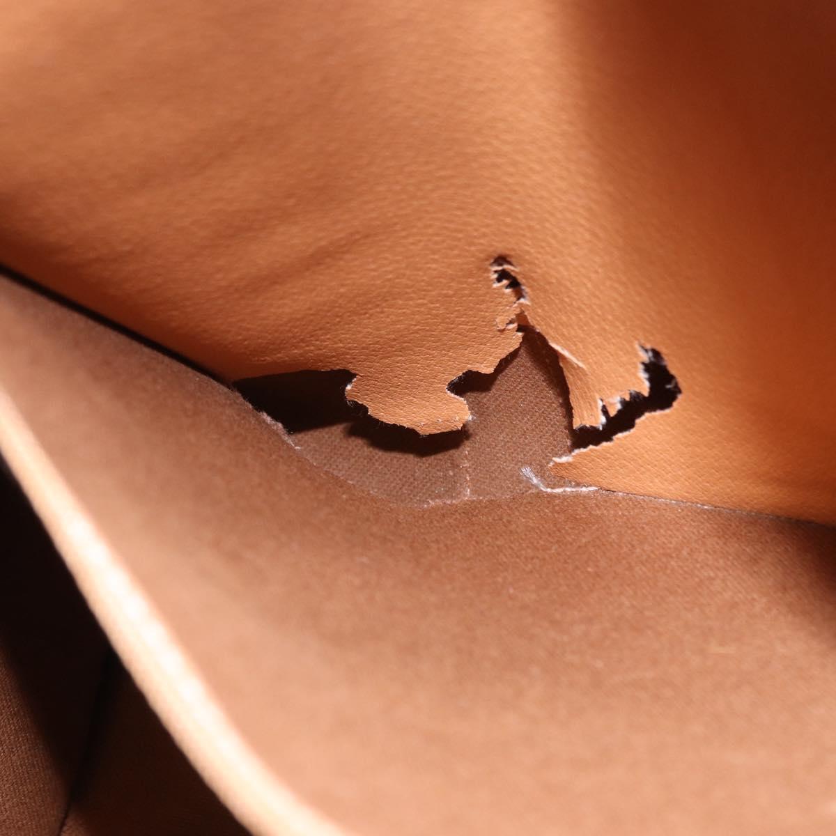 CELINE Macadam Canvas Tote Bag PVC Leather Brown Gold Auth 193520