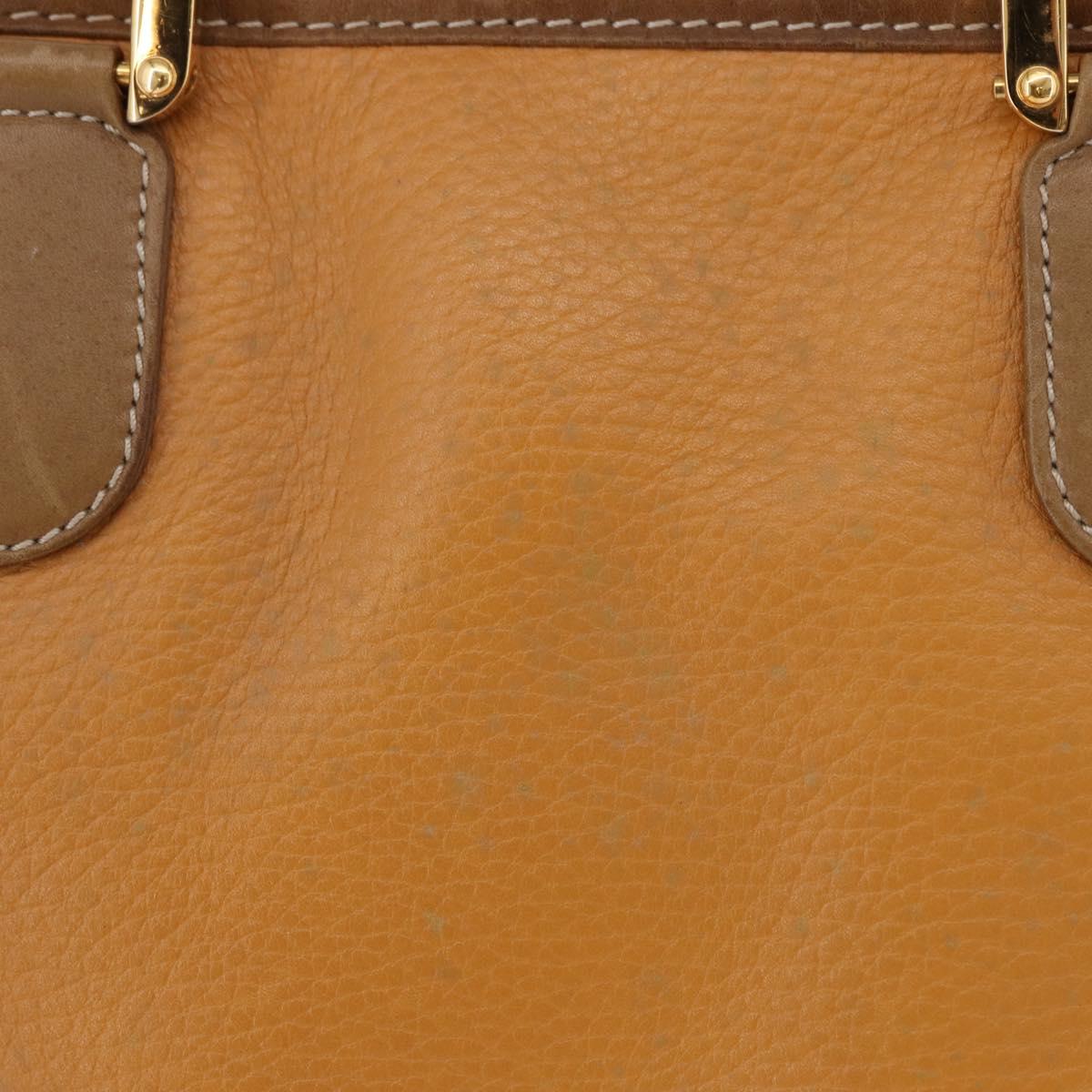 LOEWE Amazona 40 Hand Bag Leather Brown Gold Auth 193805A