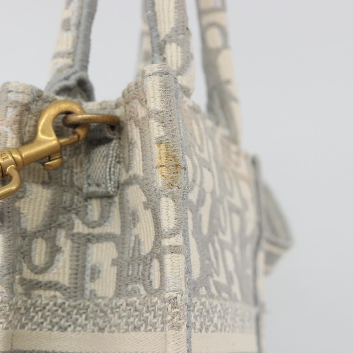 Christian Dior Trotter Canvas Book Tote Mini 2way Gray Gold Auth 193902