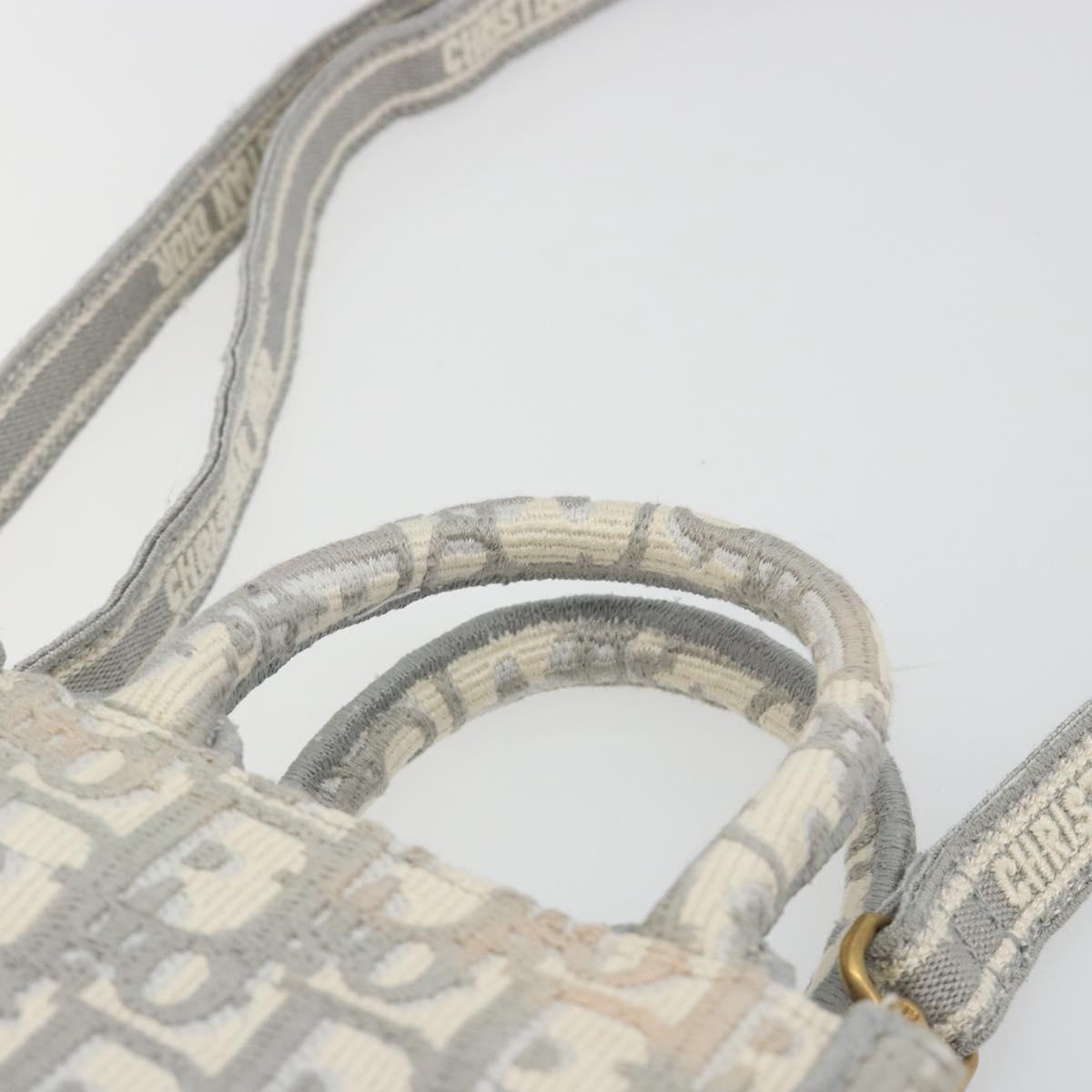 Christian Dior Trotter Canvas Book Tote Mini 2way Gray Gold Auth 193902