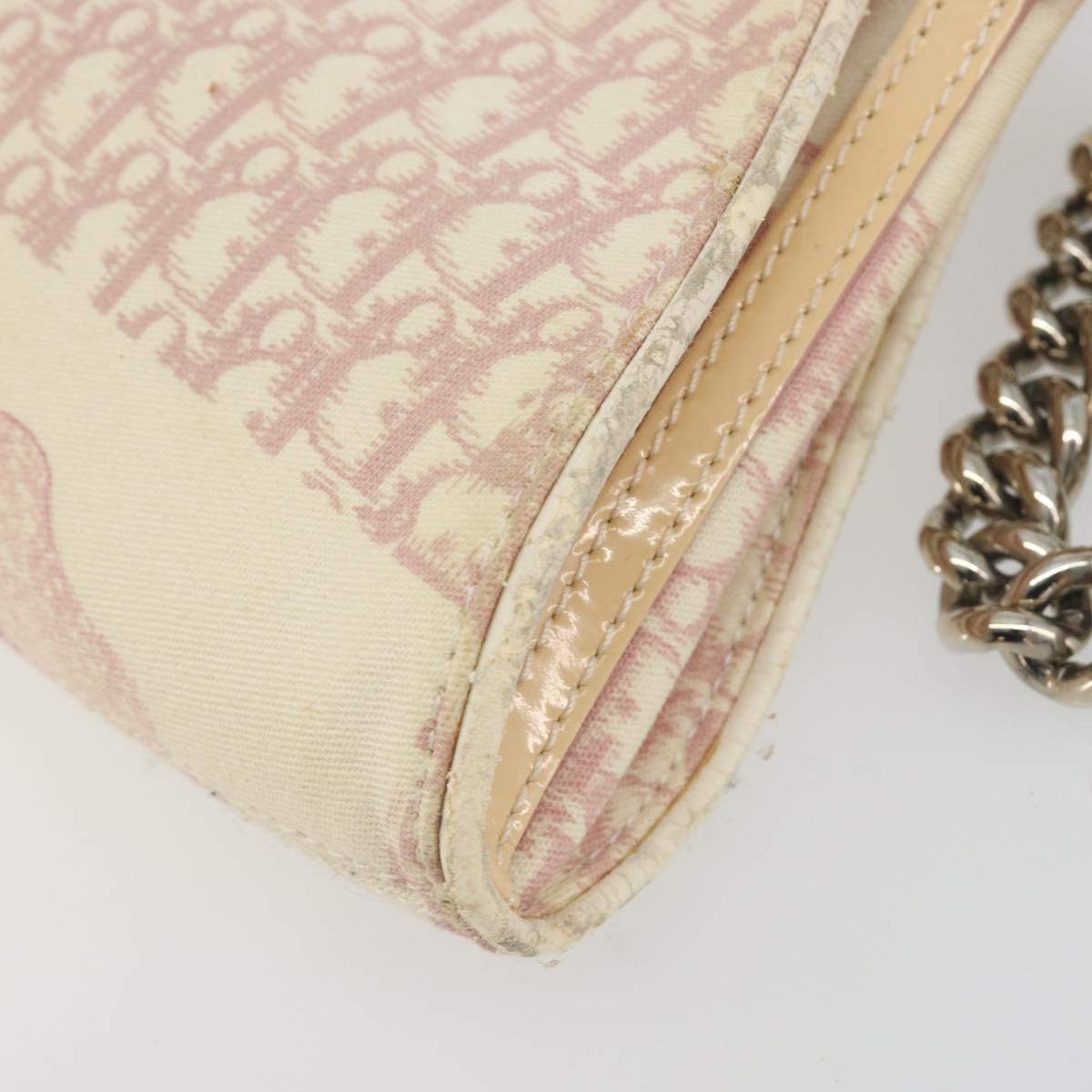 Christian Dior Saddle Chain Shoulder Bag Canvas Pink Silver Auth 194136