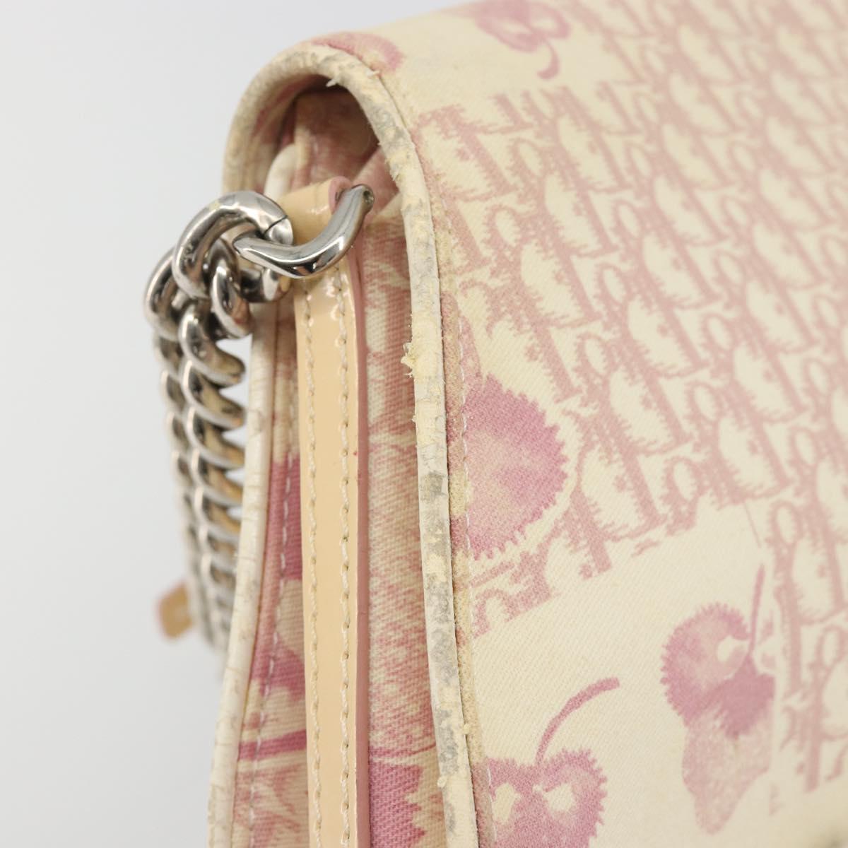 Christian Dior Saddle Chain Shoulder Bag Canvas Pink Silver Auth 194136