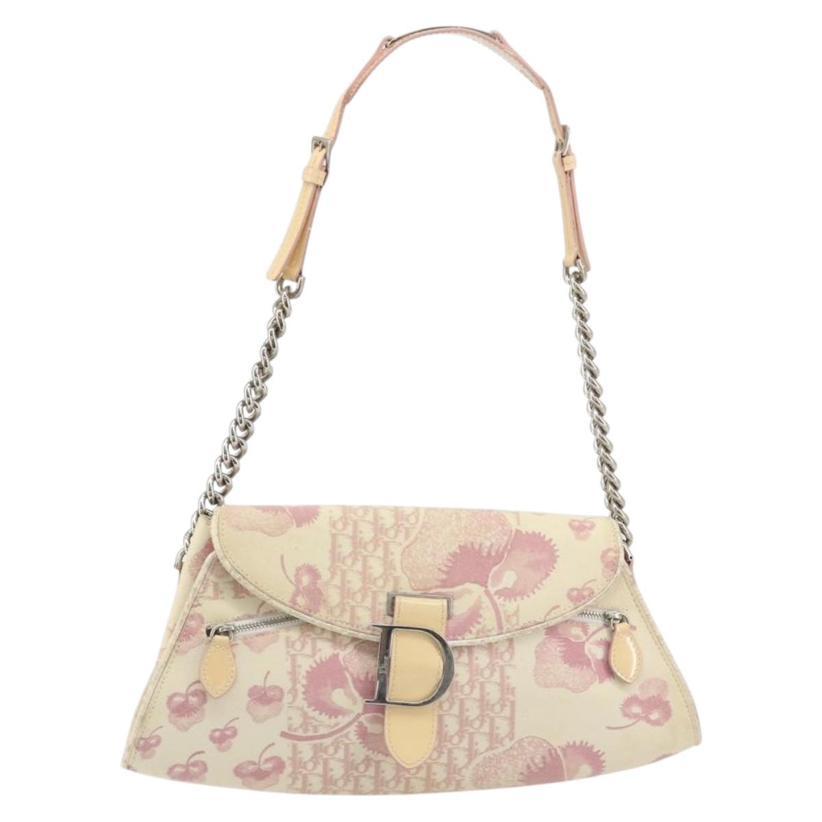 Christian Dior Saddle Chain Shoulder Bag Canvas Pink Silver Auth 194136