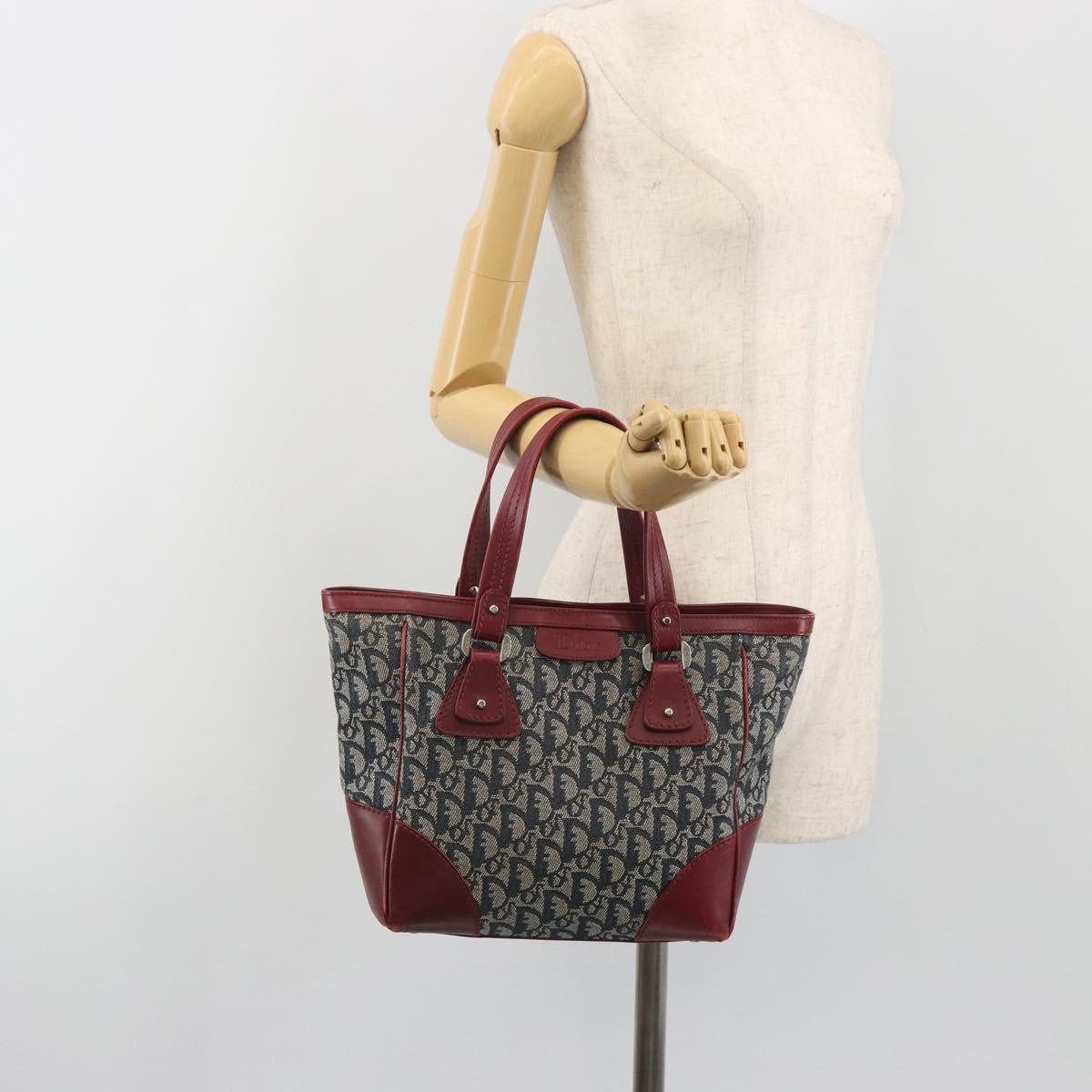 Christian Dior Trotter Canvas Hand Bag Navy Silver Auth 195056A