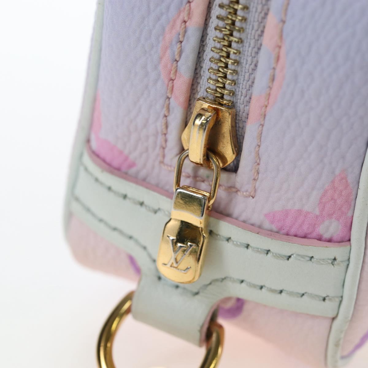 LOUIS VUITTON Monogram Giant Trousse Wapity Spring In The City Auth 195309M