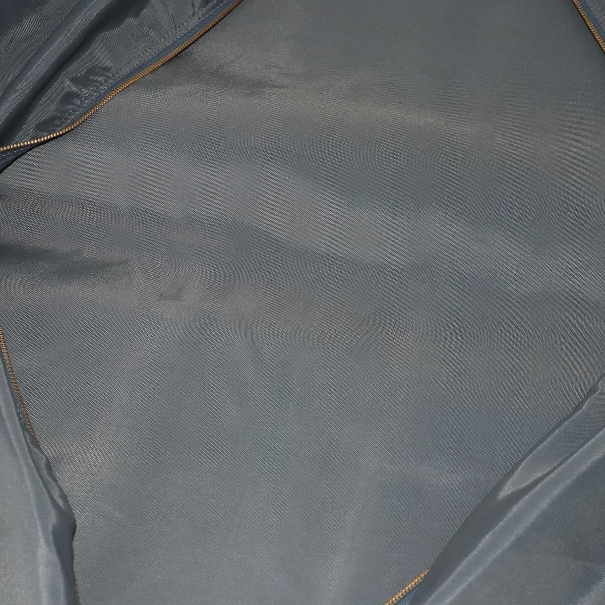 LOUIS VUITTON Taiga Bering Garment Cover Epicea M30134 LV Auth 195544V