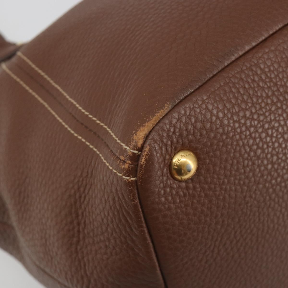 PRADA Hand Bag Vittero Dino Leather 2way Brown Gold Auth 195668V