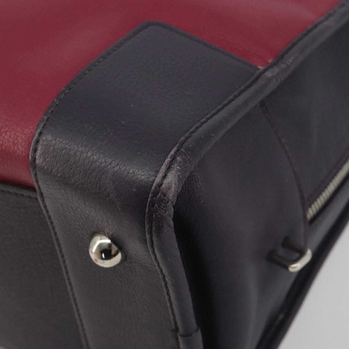 LOEWE Amazona 36 Hand Bag Leather Purple Silver Auth 195986A