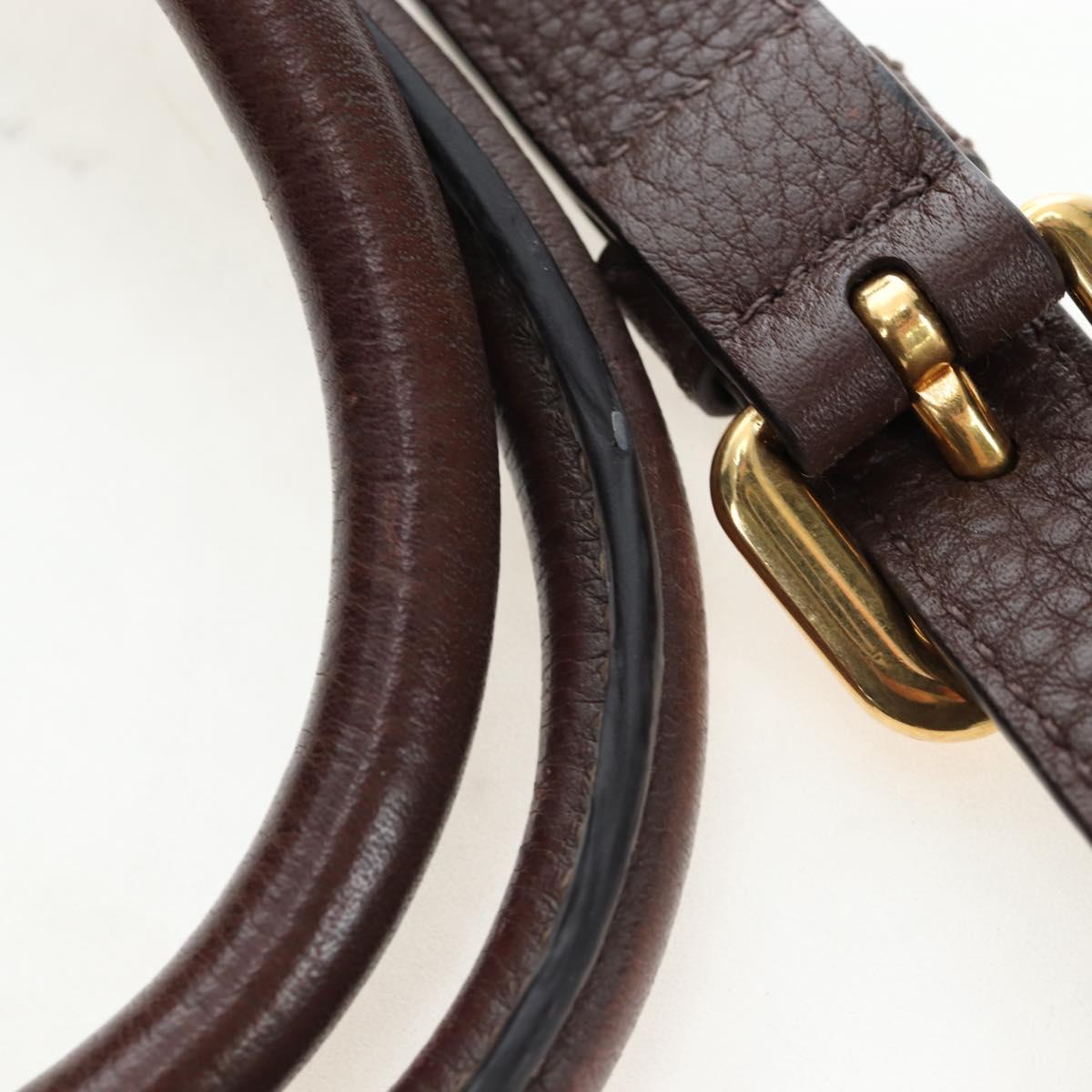 PRADA Hand Bag Vittero Dino Leather 2way Brown Gold Auth 196084V
