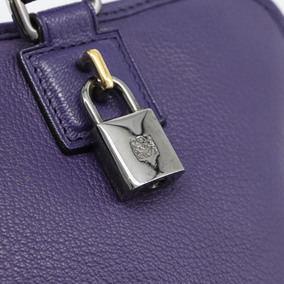 LOEWE Amazona 36 Hand Bag Leather Purple Silver Auth 196090