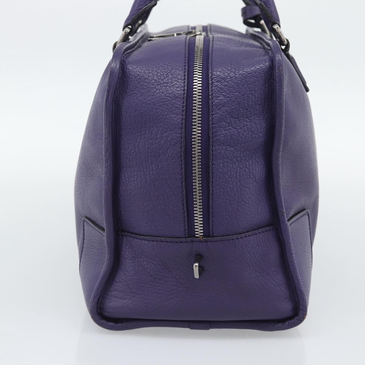 LOEWE Amazona 36 Hand Bag Leather Purple Silver Auth 196090