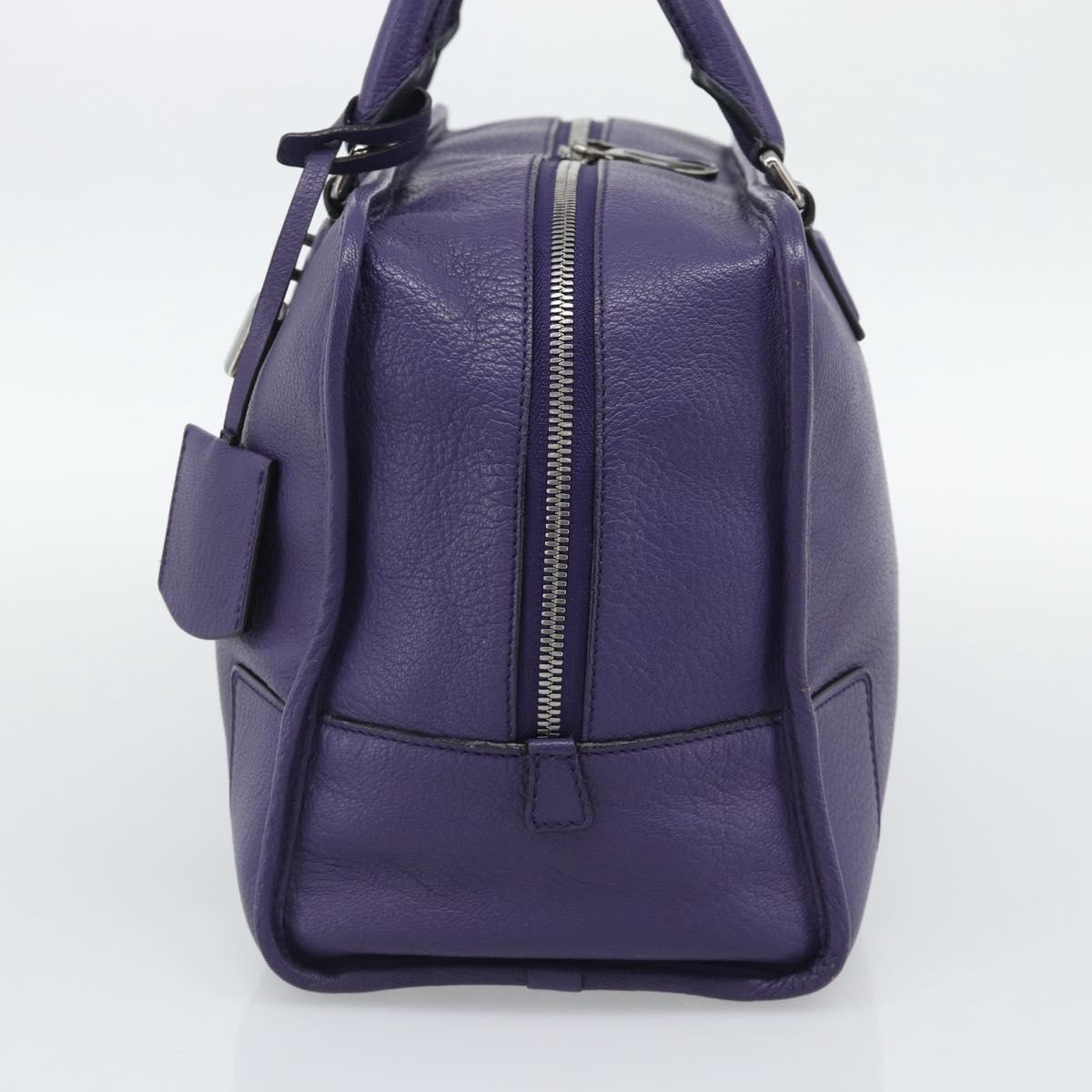 LOEWE Amazona 36 Hand Bag Leather Purple Silver Auth 196090