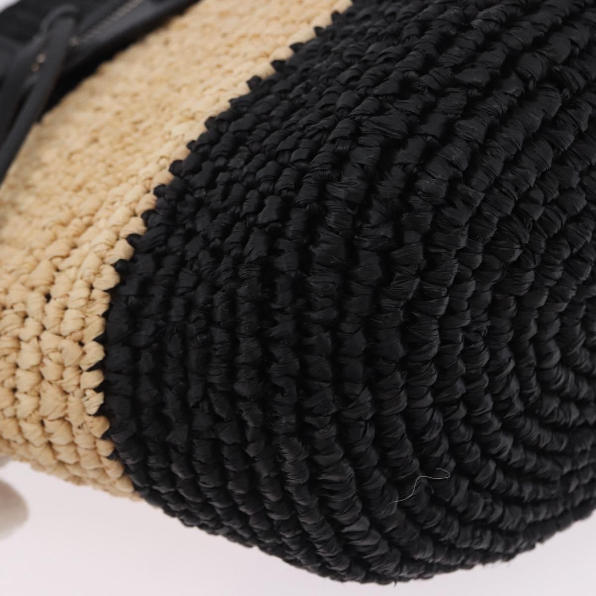 BALENCIAGA Pannier XS Hand Bag Raffia Black Silver 466498 Auth 196622A