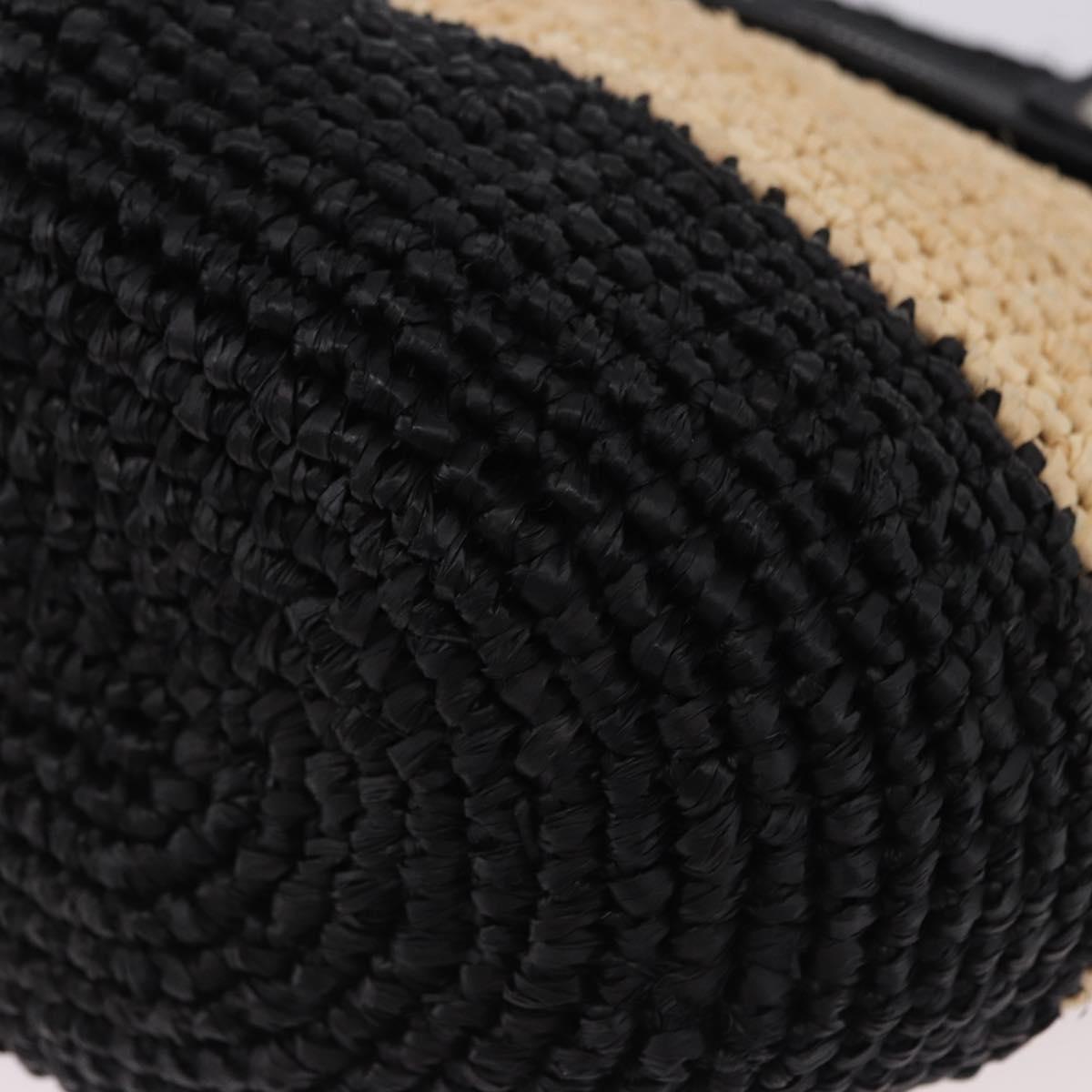 BALENCIAGA Pannier XS Hand Bag Raffia Black Silver 466498 Auth 196622A