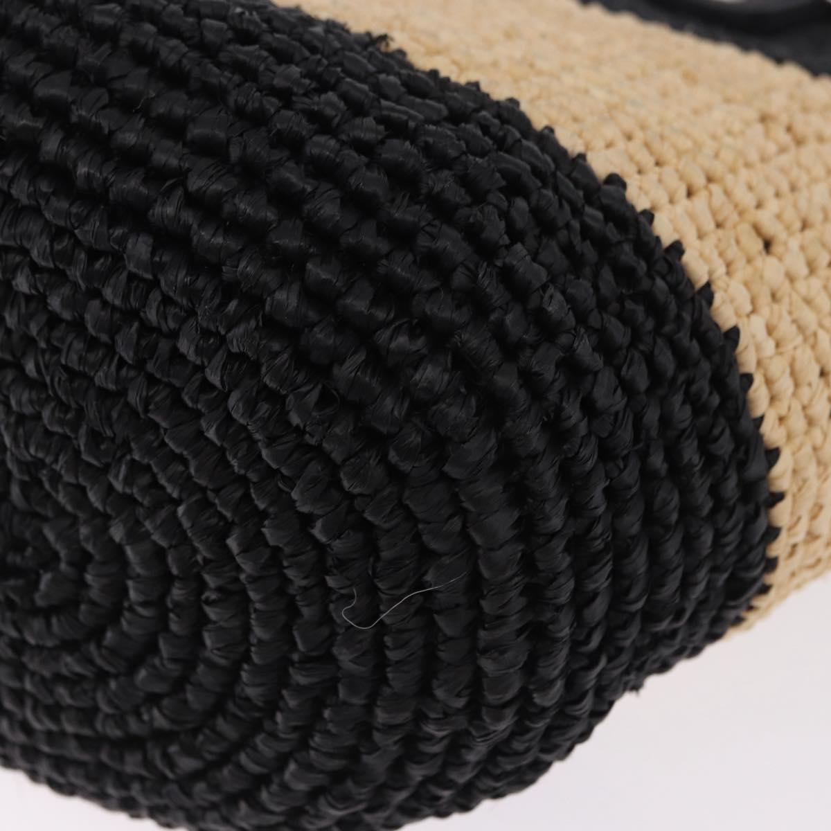 BALENCIAGA Pannier XS Hand Bag Raffia Black Silver 466498 Auth 196622A
