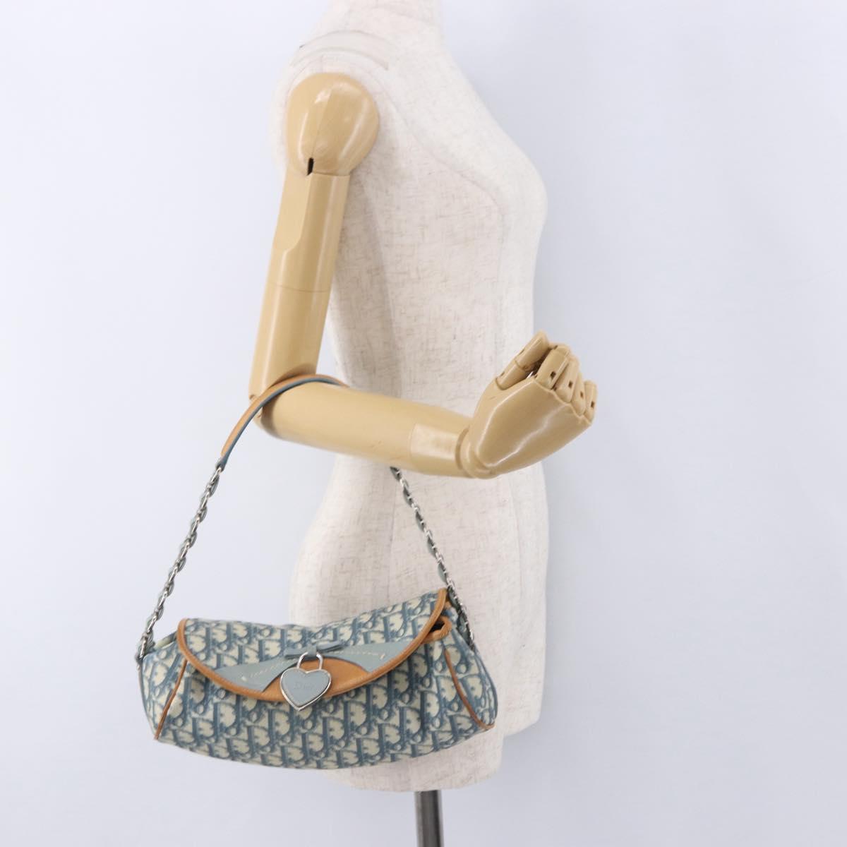 Christian Dior Trotter Canvas Romantic Chain Bag PVC Blue Silver Auth 197045SAM