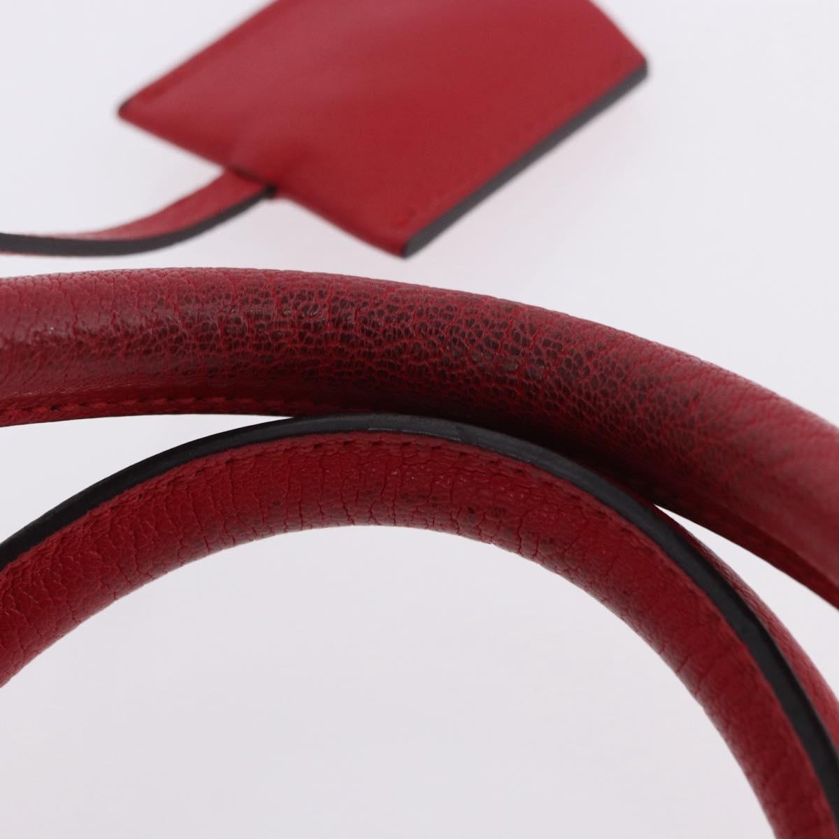 LOEWE Amazona 28 Hand Bag Leather Red Gold Auth 197185SAM