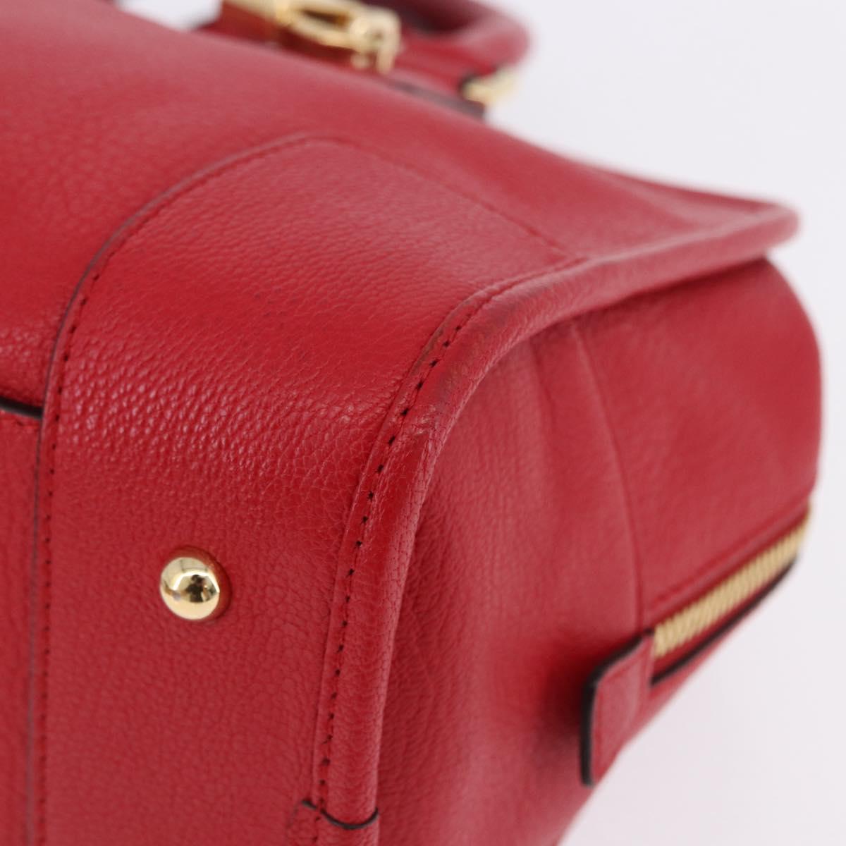 LOEWE Amazona 28 Hand Bag Leather Red Gold Auth 197185SAM