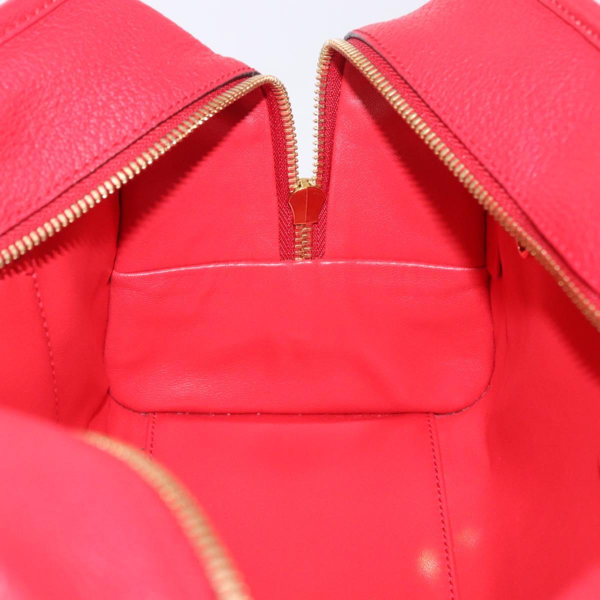 LOEWE Amazona 28 Hand Bag Leather Red Gold Auth 197185SAM