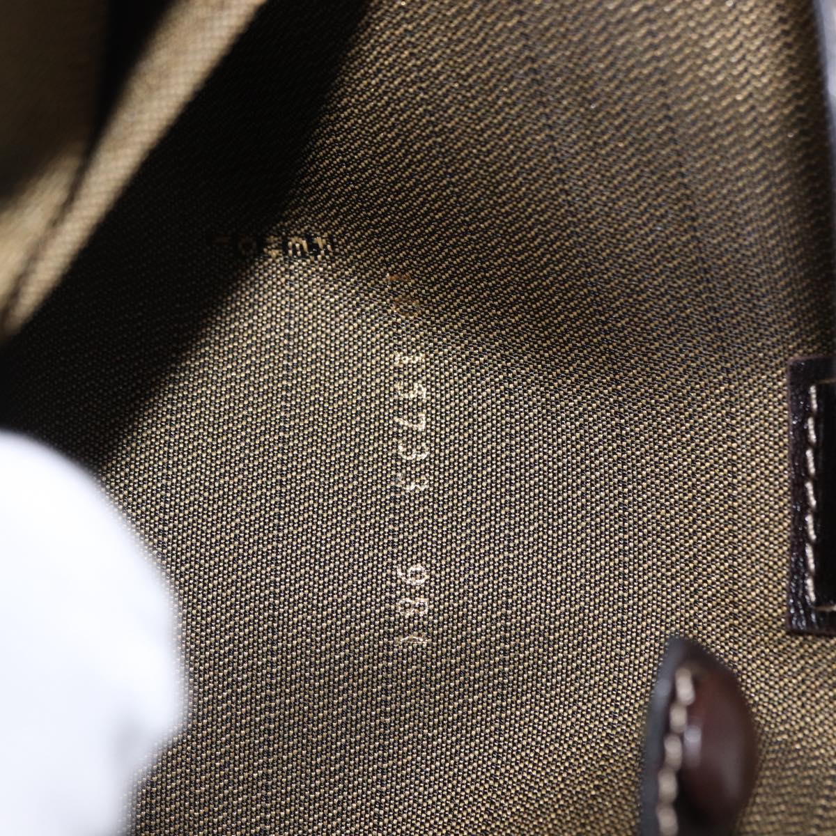 FENDI Zucca Canvas Hand Bag Brown Gold Tone Auth 198500V