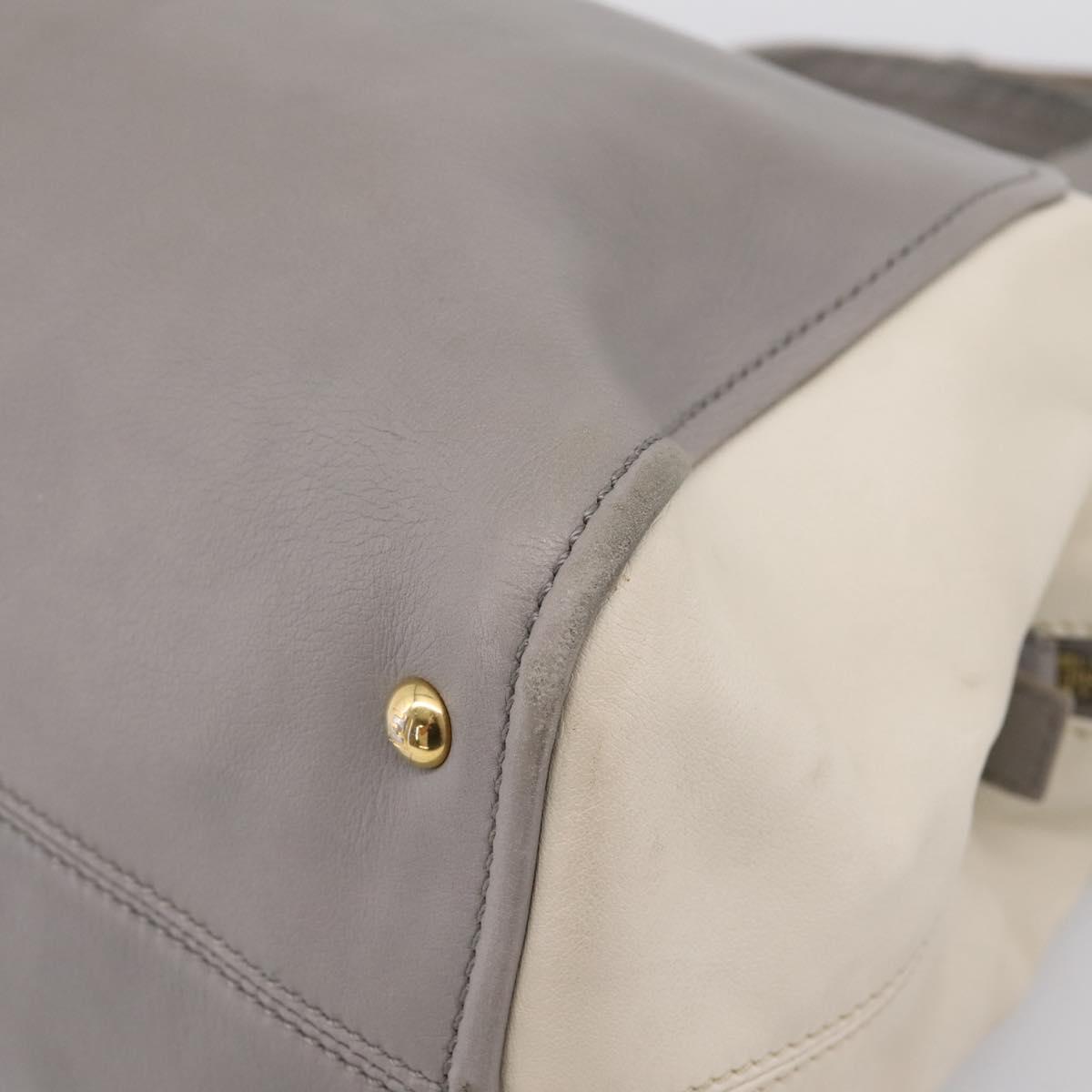 FENDI Chameleon Hand Bag Leather 2way Gray Gold Tone 8BL110 Auth 198625A