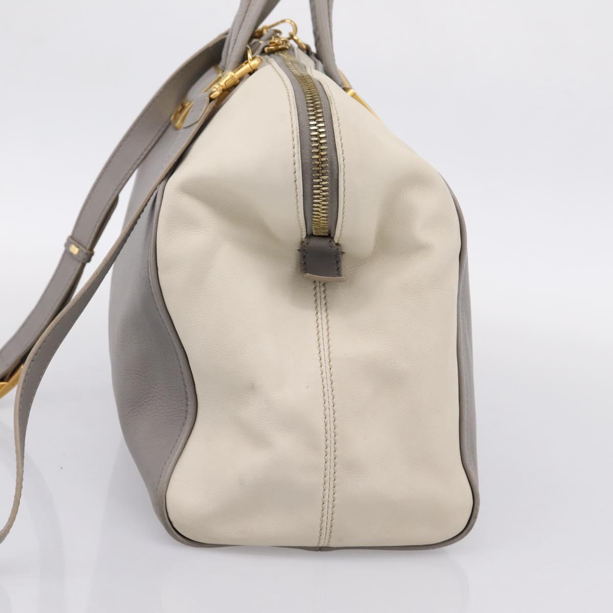FENDI Chameleon Hand Bag Leather 2way Gray Gold Tone 8BL110 Auth 198625A