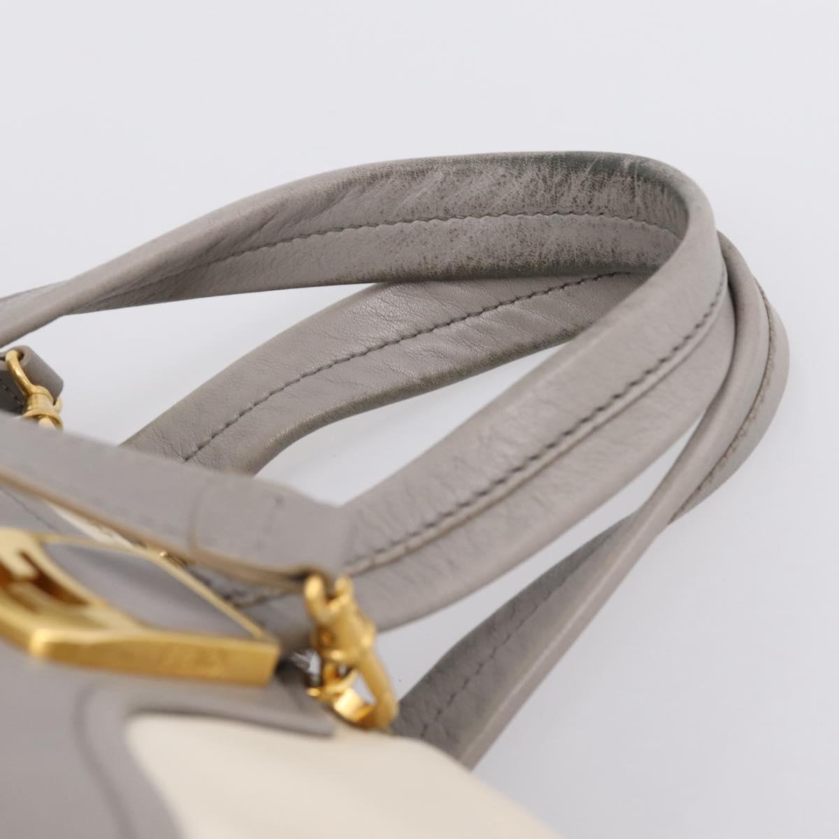 FENDI Chameleon Hand Bag Leather 2way Gray Gold Tone 8BL110 Auth 198625A