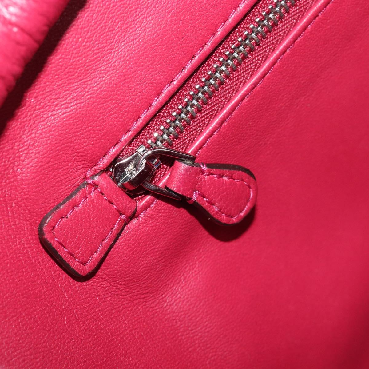 LOEWE Amazona 36 Hand Bag Leather Red Silver Auth 198687V