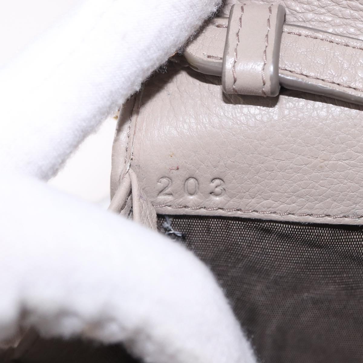 PRADA Chain Shoulder Long Wallet Vittero Dino Leather Gray Gold Auth 198791A