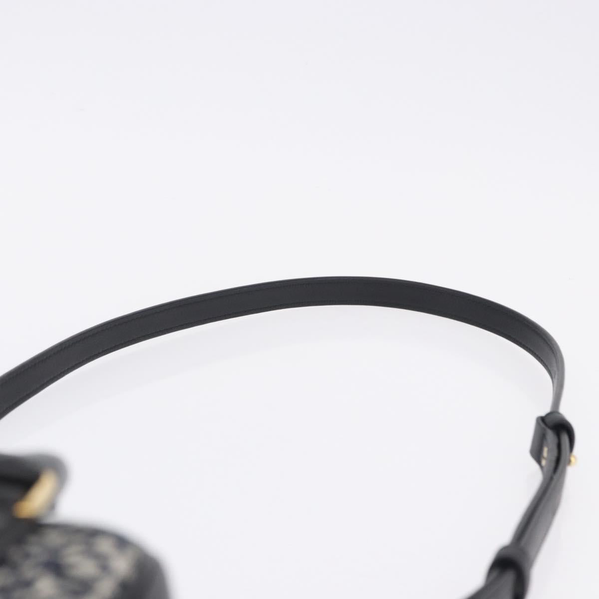 LOEWE Anagram Amazona 16 Hand Bag Canvas 2way Black Gold Tone Auth 199041SAM
