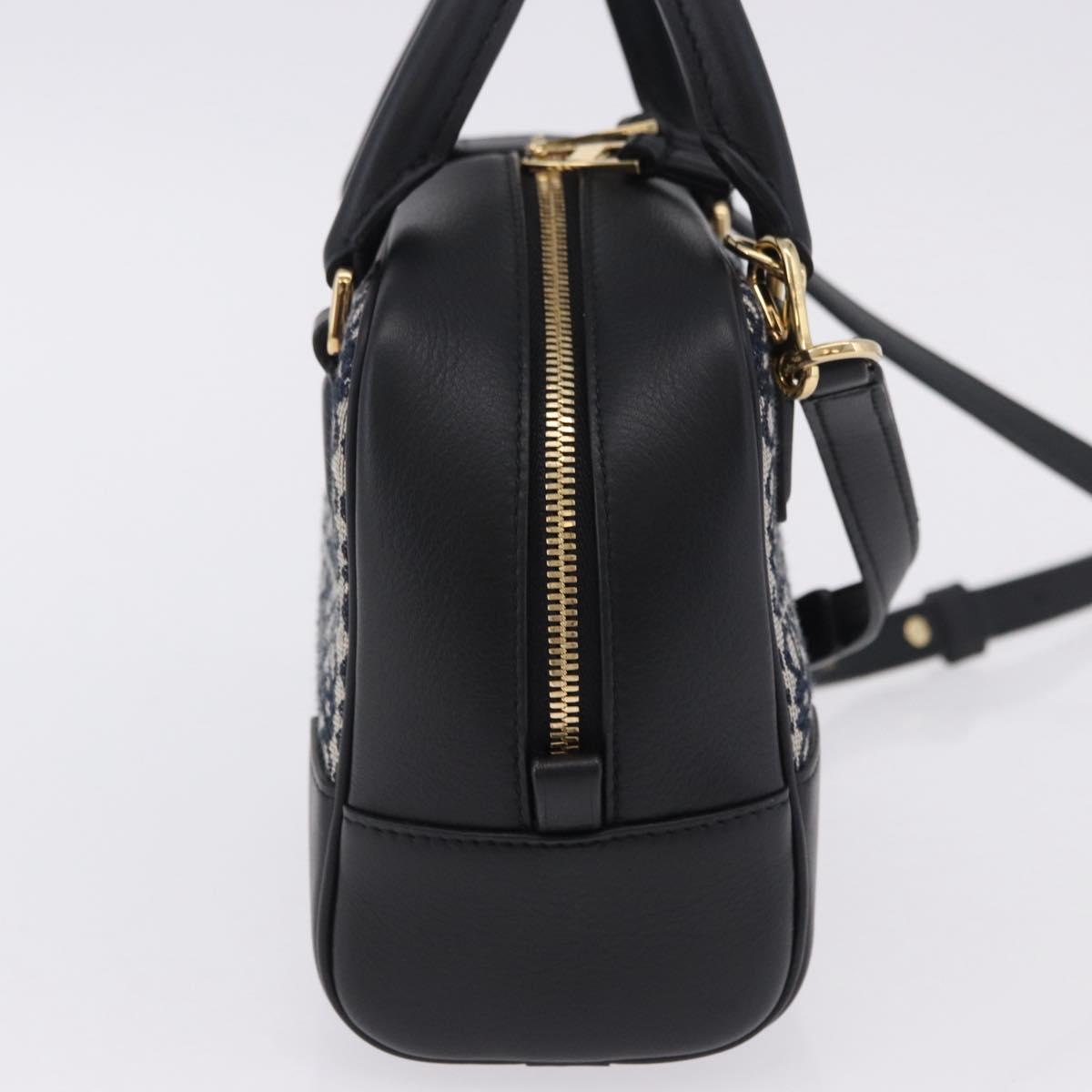 LOEWE Anagram Amazona 16 Hand Bag Canvas 2way Black Gold Tone Auth 199041SAM