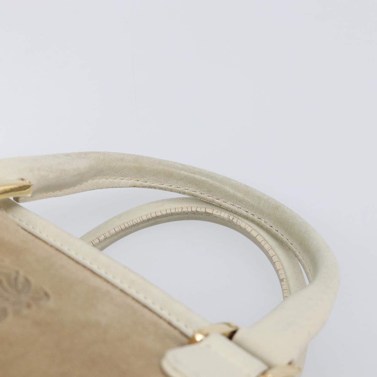LOEWE Amazonas Hand Bag Suede Beige Gold Tone Auth 199514A