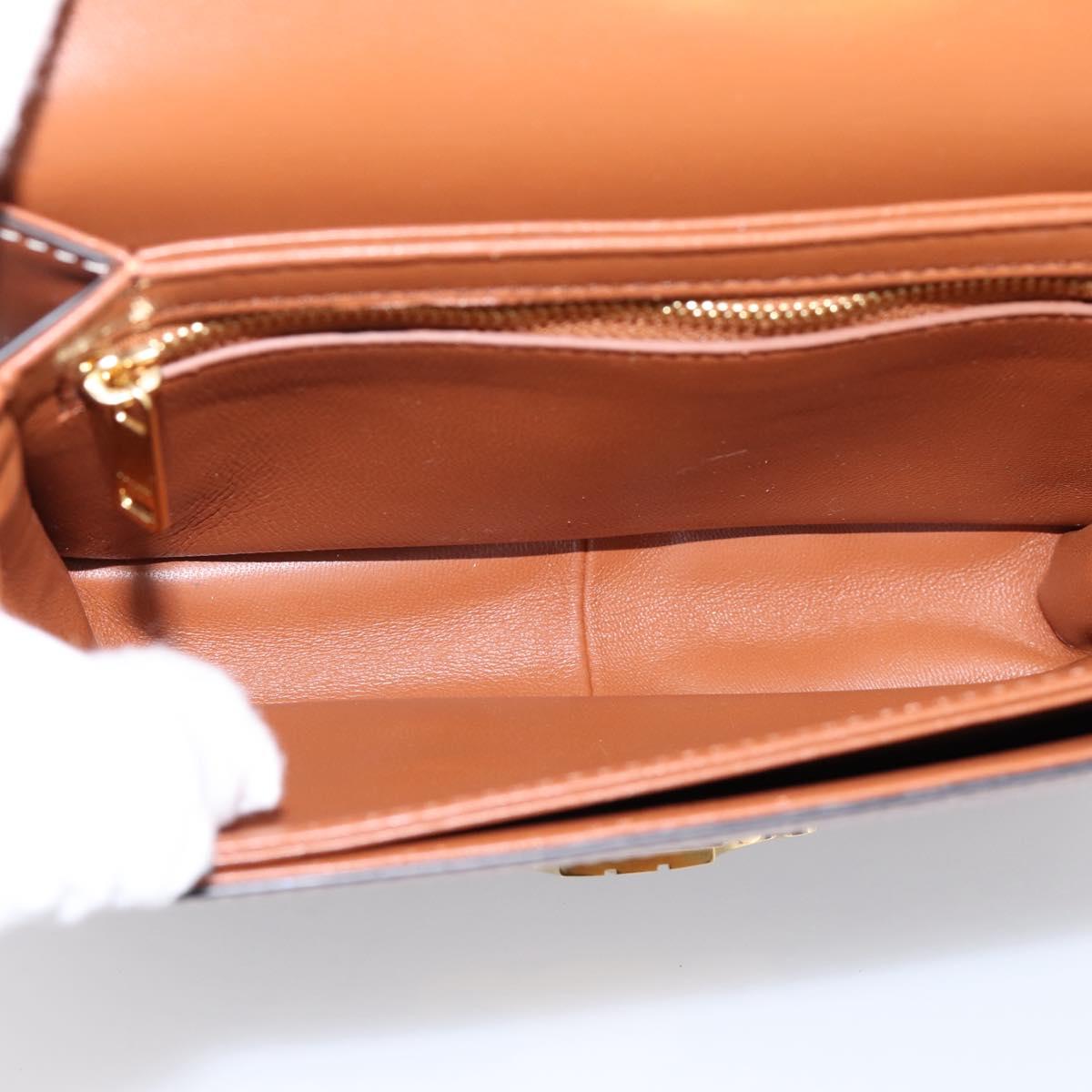 CELINE Triomphe Shoulder Bag PVC Leather Brown Gold Tone Auth 199806SM