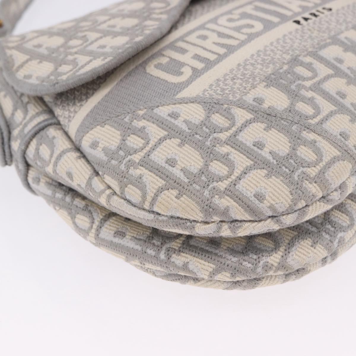 Christian Dior Trotter Canvas Saddle Oblique Bag Gray Gold Auth 199836SM