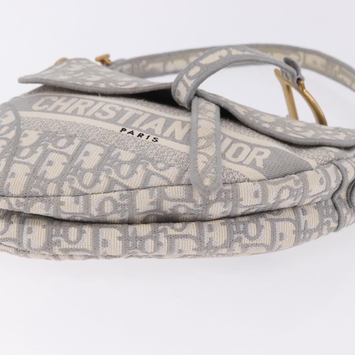 Christian Dior Trotter Canvas Saddle Oblique Bag Gray Gold Auth 199836SM