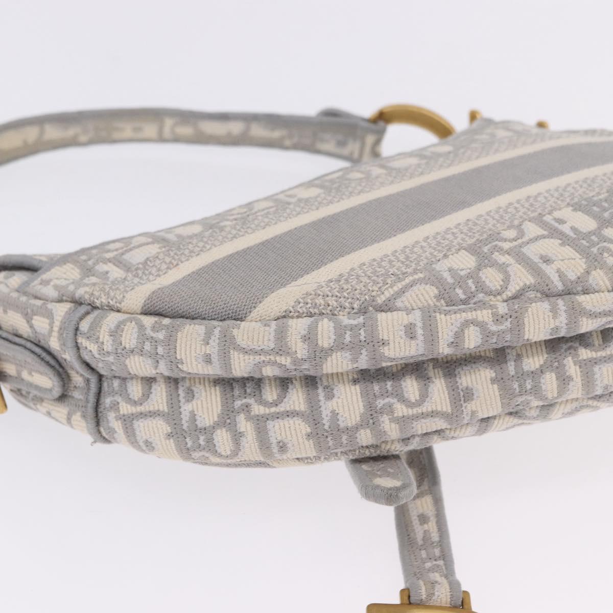 Christian Dior Trotter Canvas Saddle Oblique Bag Gray Gold Auth 199836SM