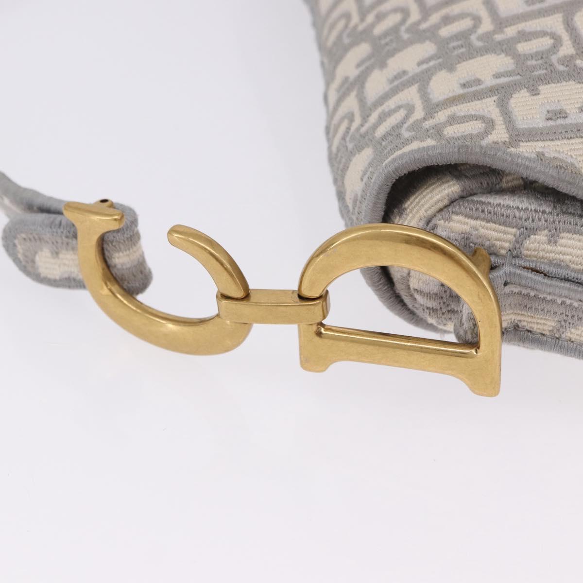 Christian Dior Trotter Canvas Saddle Oblique Bag Gray Gold Auth 199836SM