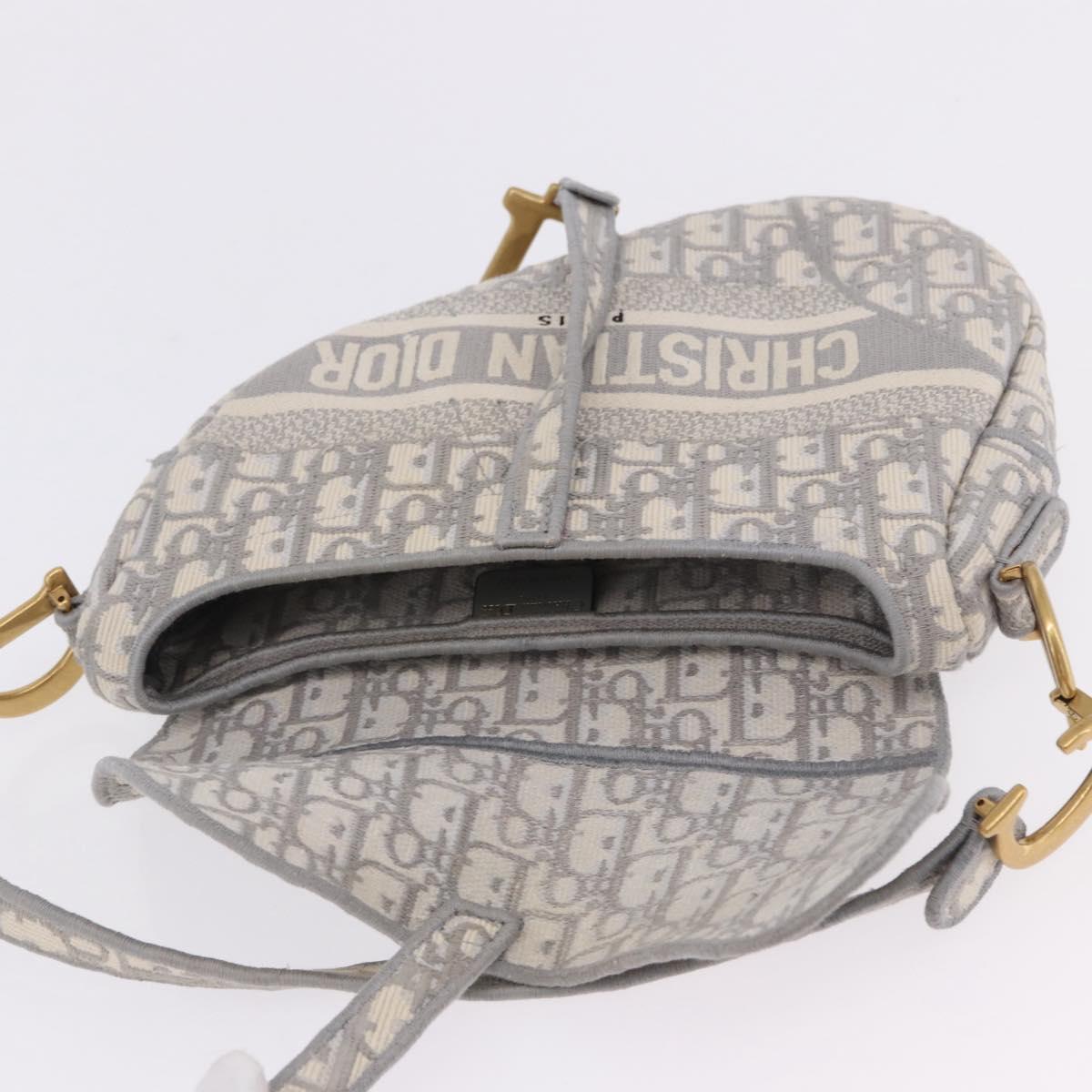 Christian Dior Trotter Canvas Saddle Oblique Bag Gray Gold Auth 199836SM