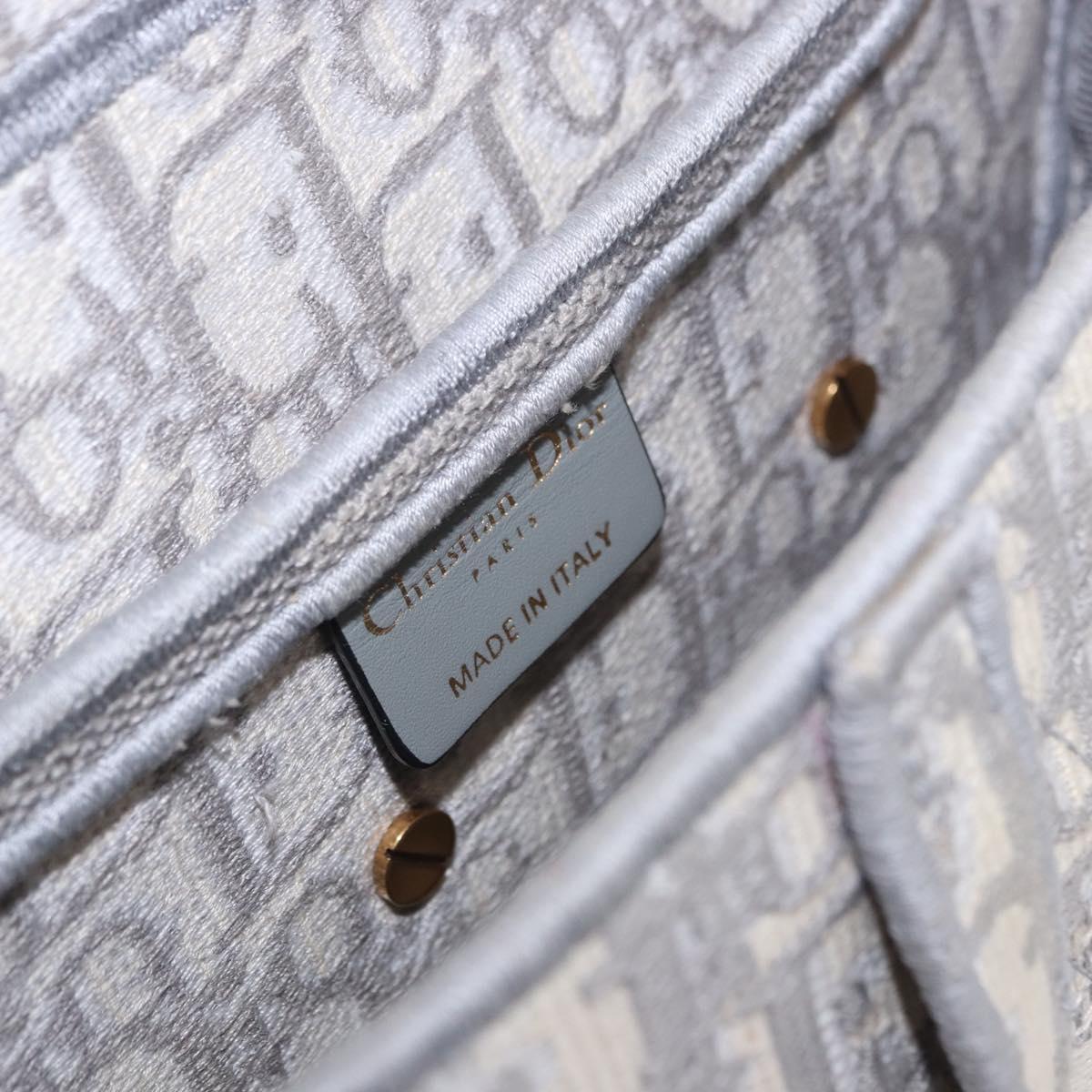 Christian Dior Trotter Canvas Saddle Oblique Bag Gray Gold Auth 199836SM