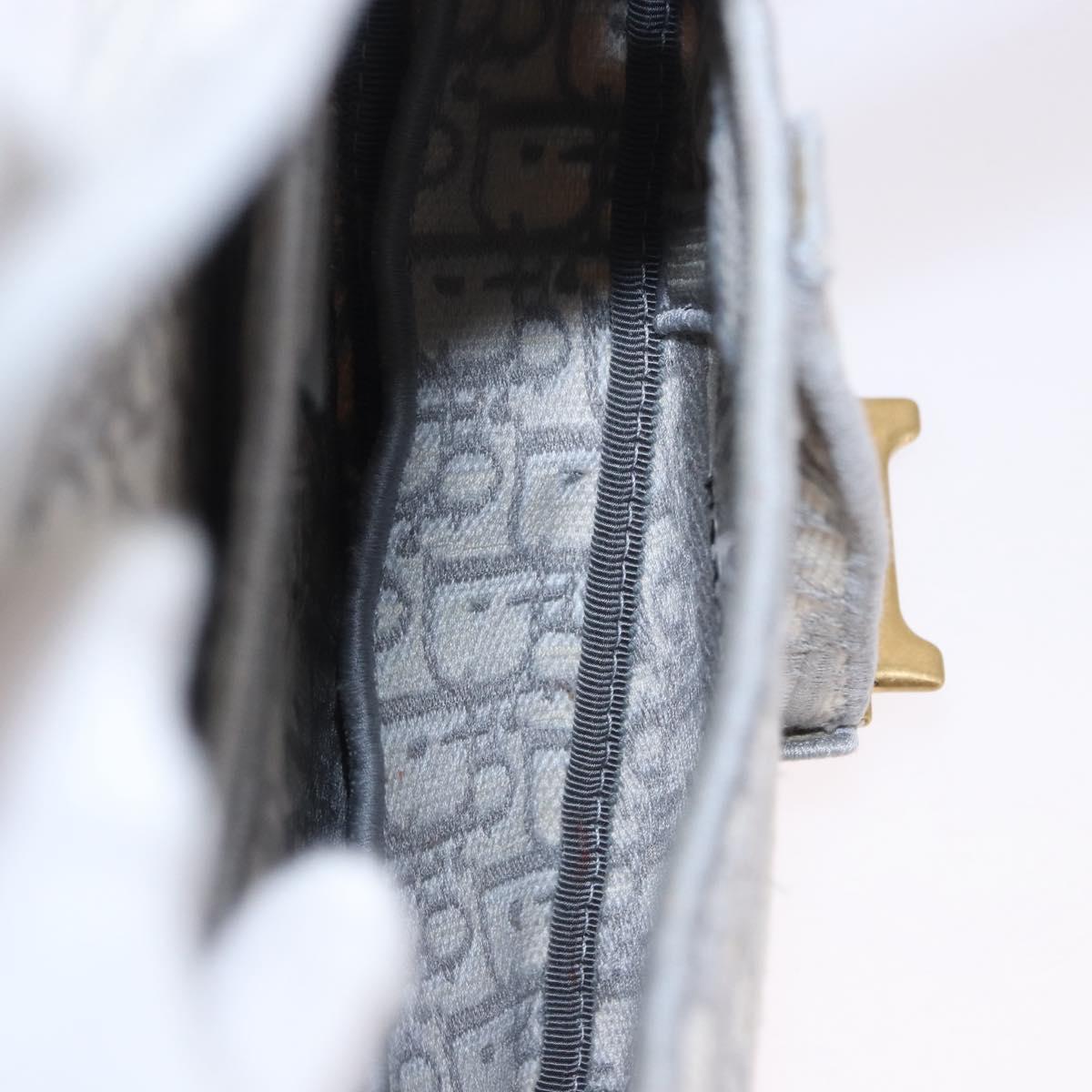 Christian Dior Trotter Canvas Saddle Oblique Bag Gray Gold Auth 199836SM