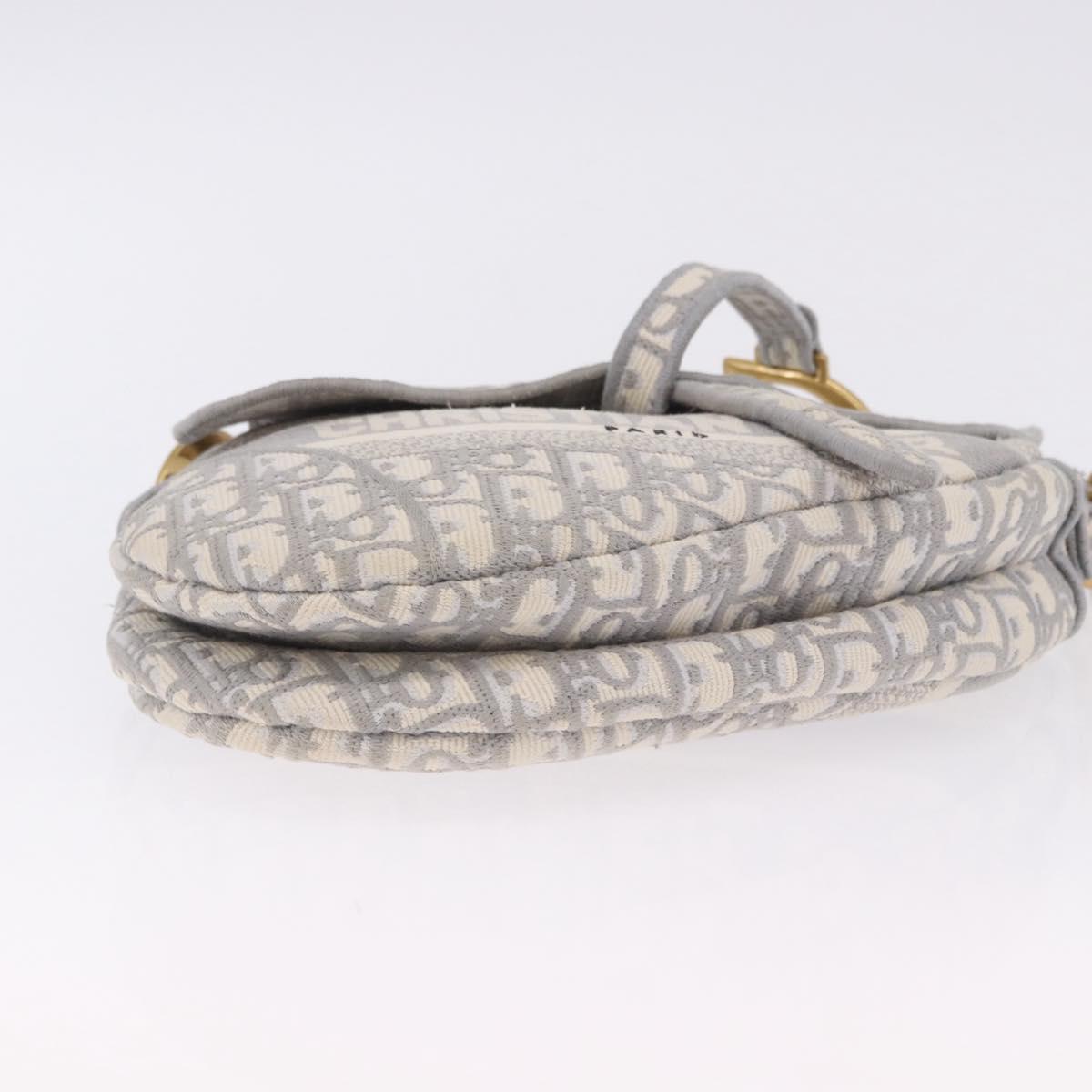 Christian Dior Trotter Canvas Saddle Oblique Bag Gray Gold Auth 199836SM