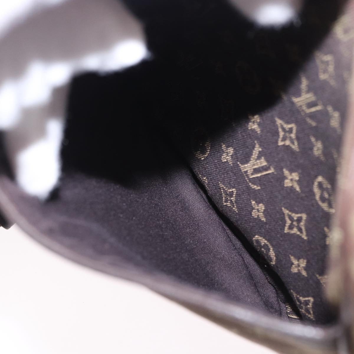 LOUIS VUITTON Monogram Mini Lin Danube Shoulder Bag Ebene M95228 LV Auth 200445A