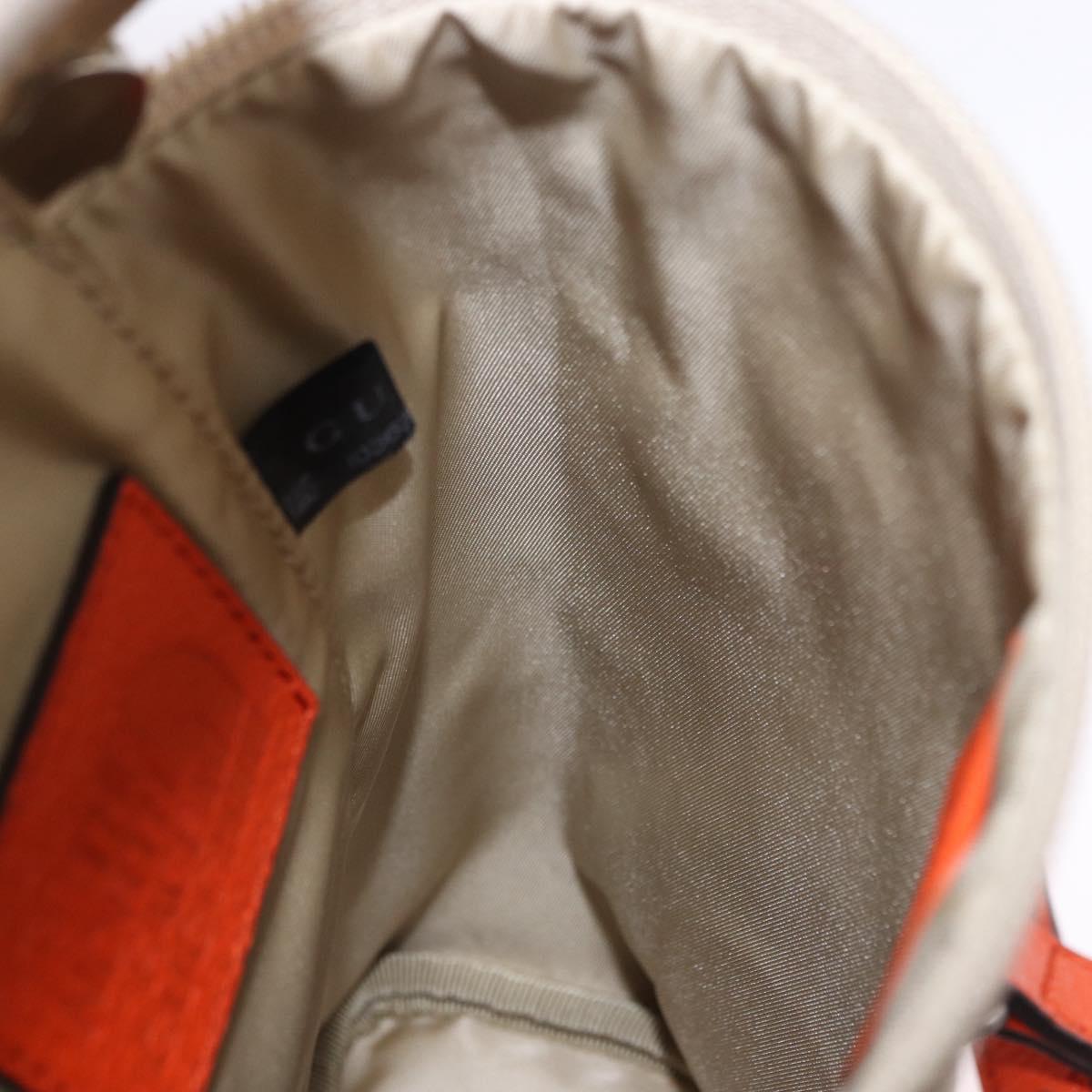 GUCCI GG Canvas Bag THE NORTH FACE Collaboration Beige 679760 Auth 200541V