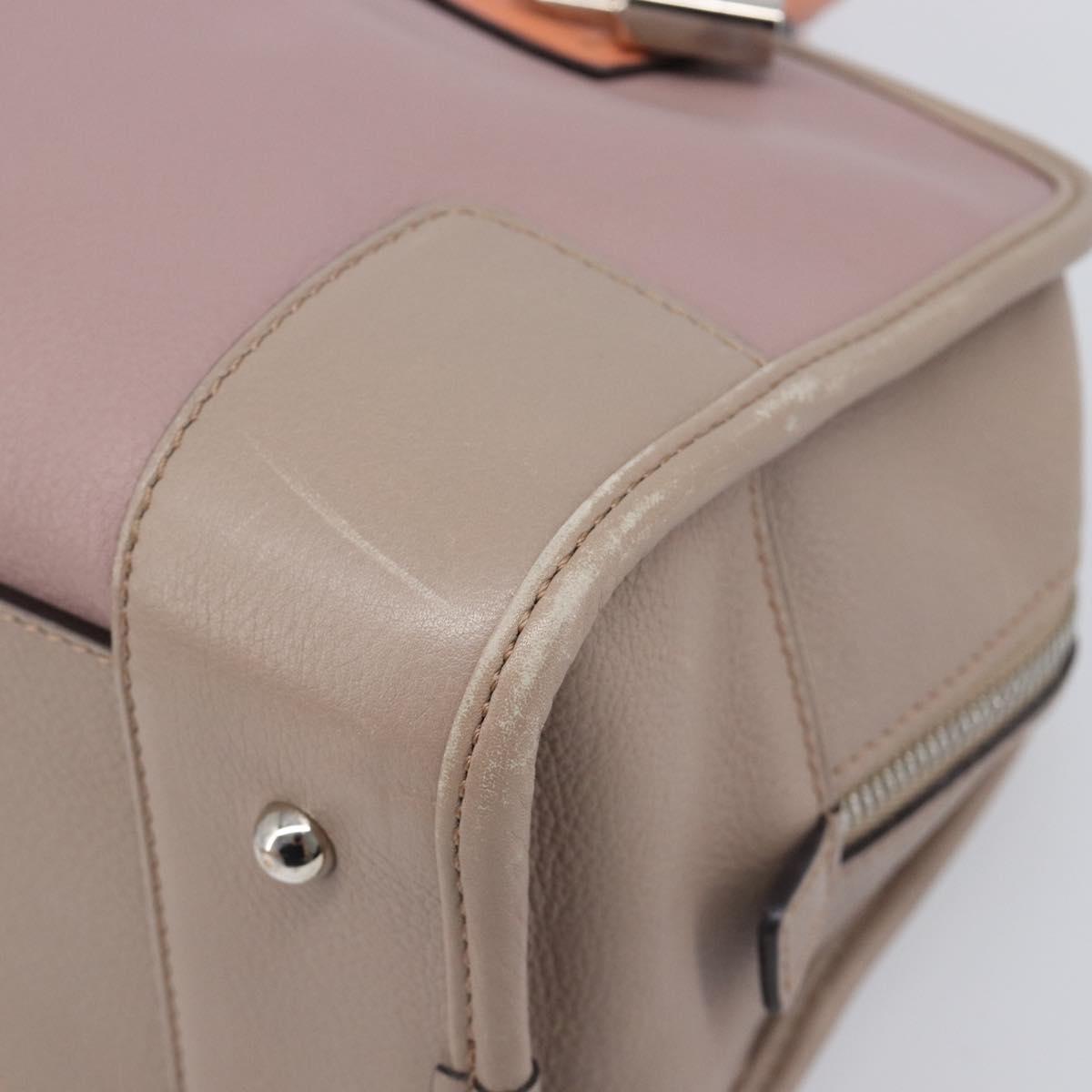 LOEWE Amazona 28 Hand Bag Leather Pink Silver Auth 200805V