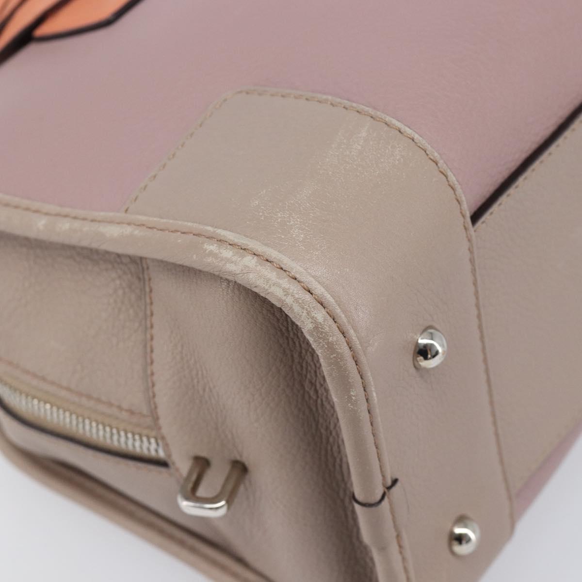 LOEWE Amazona 28 Hand Bag Leather Pink Silver Auth 200805V