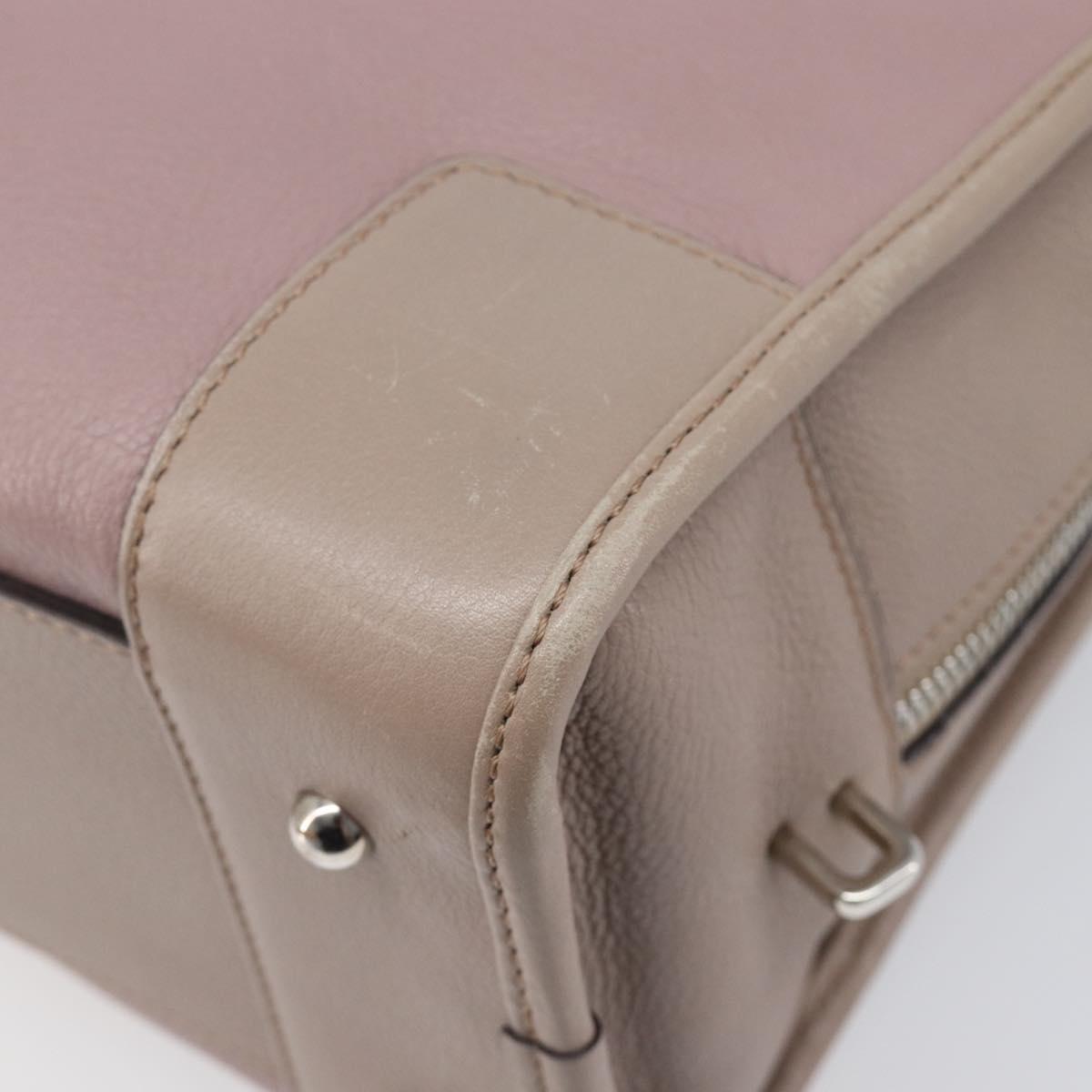 LOEWE Amazona 28 Hand Bag Leather Pink Silver Auth 200805V