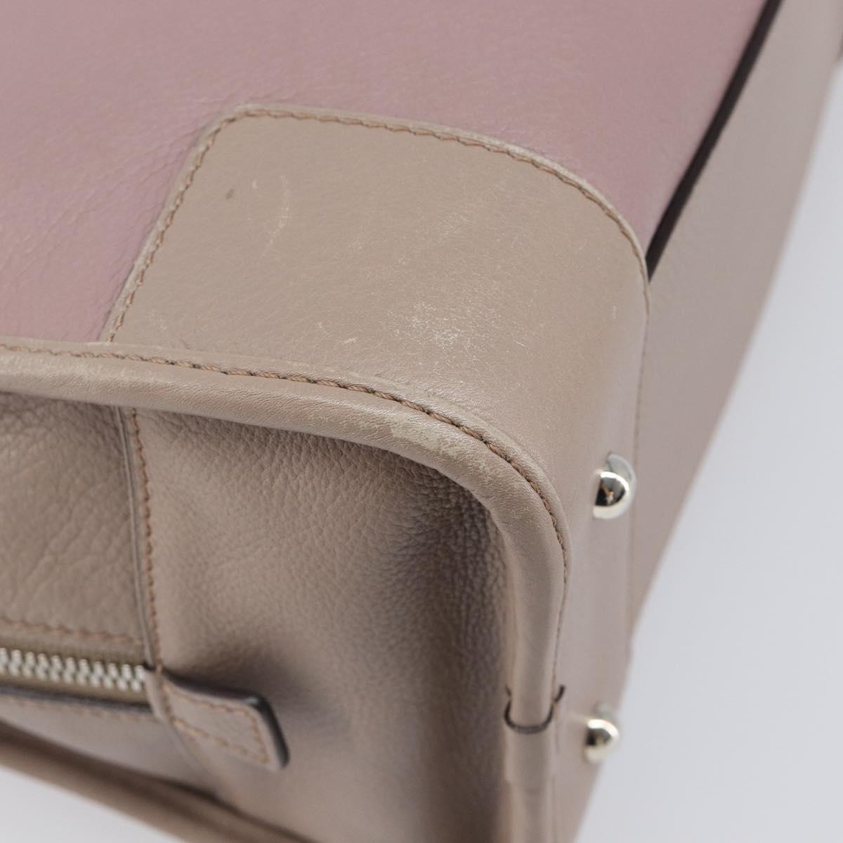 LOEWE Amazona 28 Hand Bag Leather Pink Silver Auth 200805V