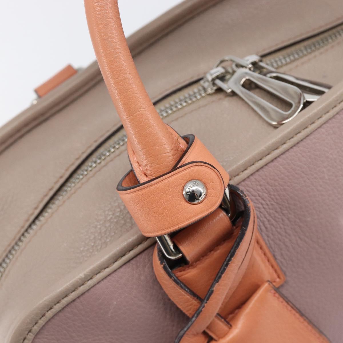 LOEWE Amazona 28 Hand Bag Leather Pink Silver Auth 200805V