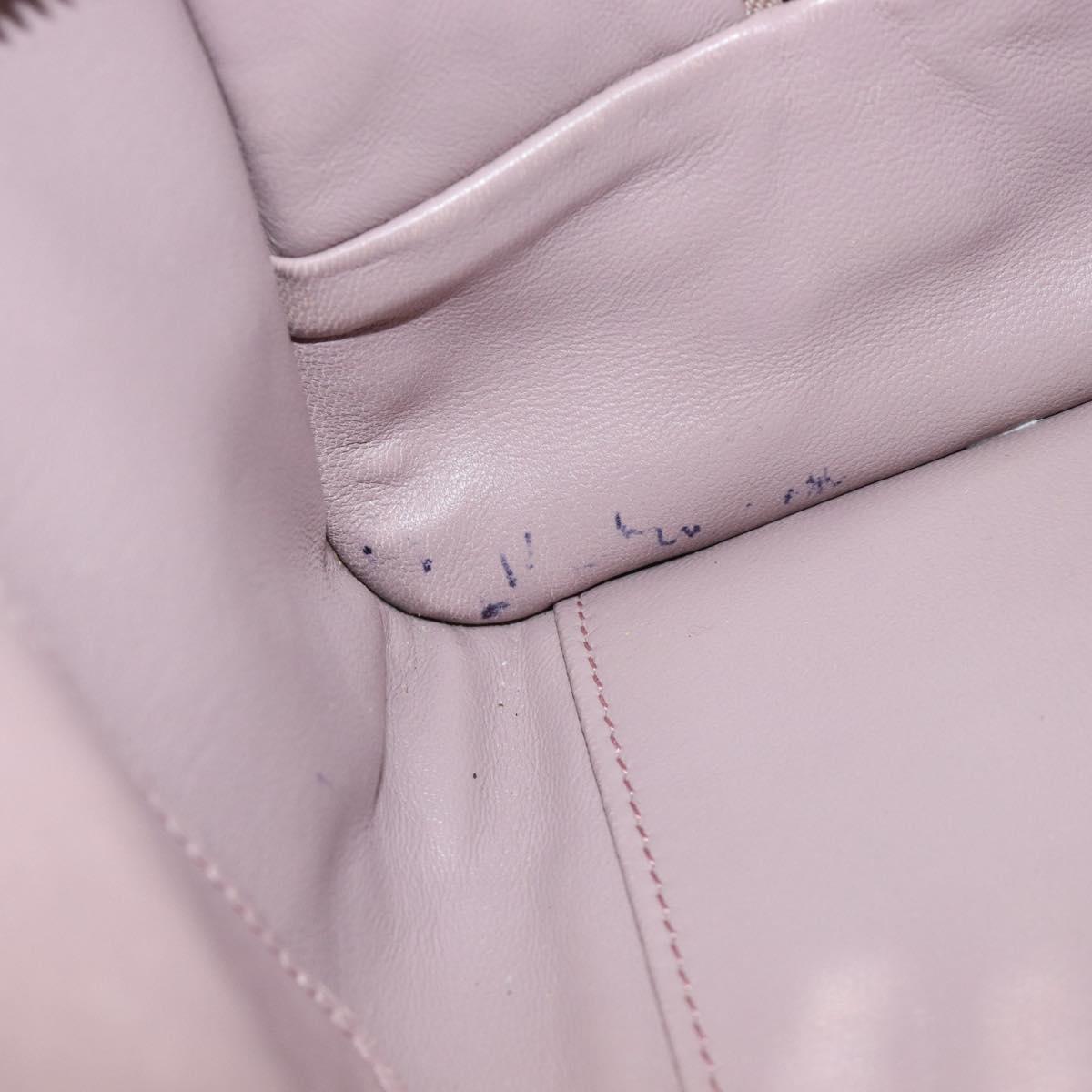 LOEWE Amazona 28 Hand Bag Leather Pink Silver Auth 200805V